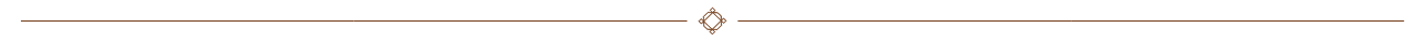 divider-red-long